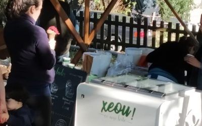 Xeou! en Feira Son D’aldea, Palas de Rei