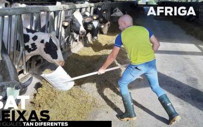 Reportaje de SAT Seixas en Revista Afriga