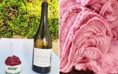 Reportaje en Infobae sobre el helado de vino